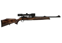 Sauer 303