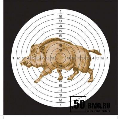 Мишень для пневматики 25м цветная, рисунок &quot;КАБАН&quot; (140х140)