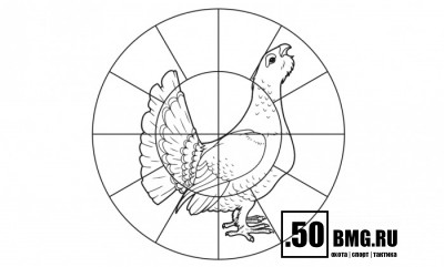 Мишень для пристрелки дробовых ружей 16-дольная 800х800 мм, 80 г/м (100шт./уп.)