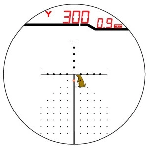 300