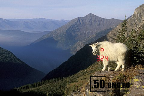 Лазерный дальномер Leica CRF 1600-B