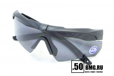 Стрелковые очки ESS Crossbow One Polarised 740-0494
