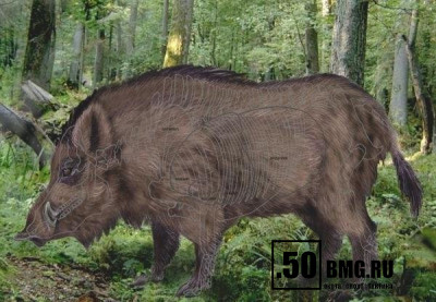 Мишень &quot;Кабан полноцветный&quot; (700х1000) (100шт./уп.)