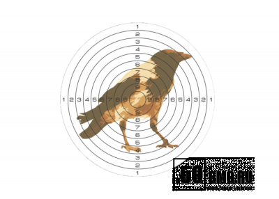 Мишень для пневматики 25м цветная, рисунок &quot;ВОРОНА&quot; (140х140)